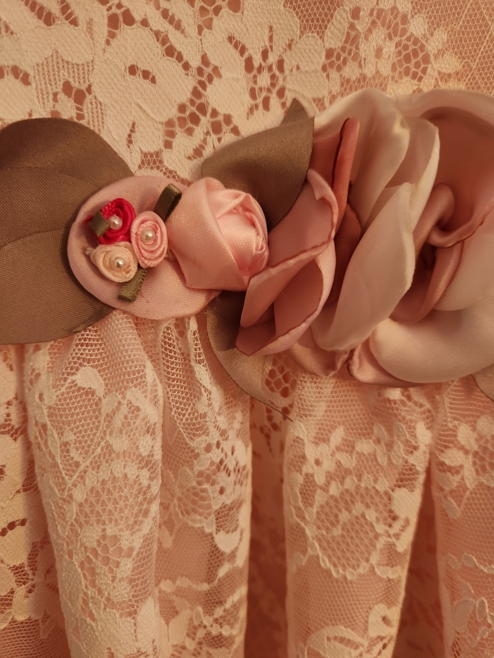 Mia & Mimi Delicate Pink Lace Dress w/Stationary Floral Sash, Size 4T, EPreLC - Picture 9 of 9
